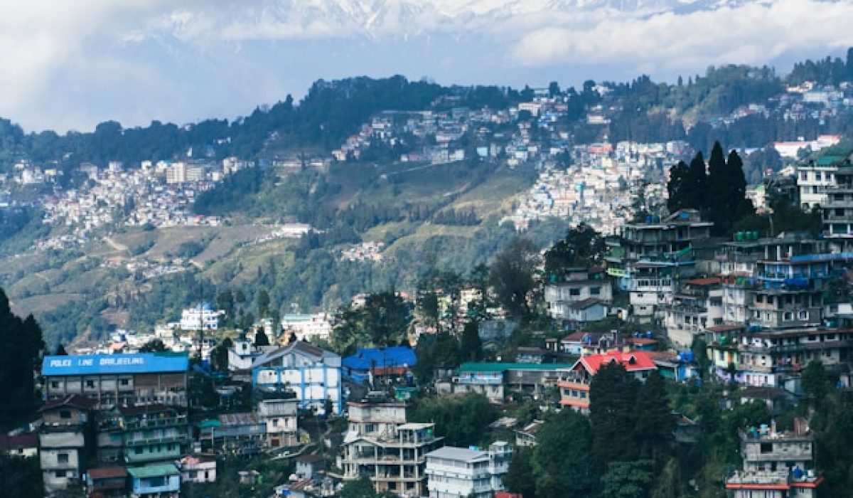 darjeeling 12